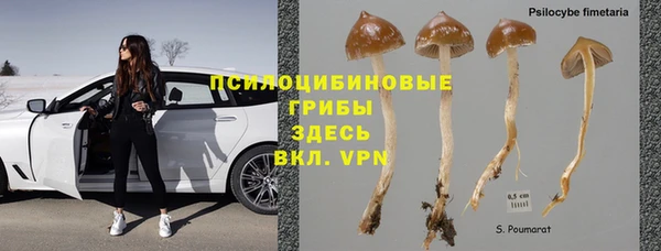 трава Наволоки