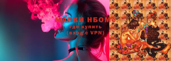 гашик Нея