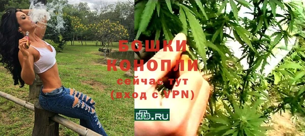 трава Наволоки