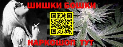 крисы Будённовск
