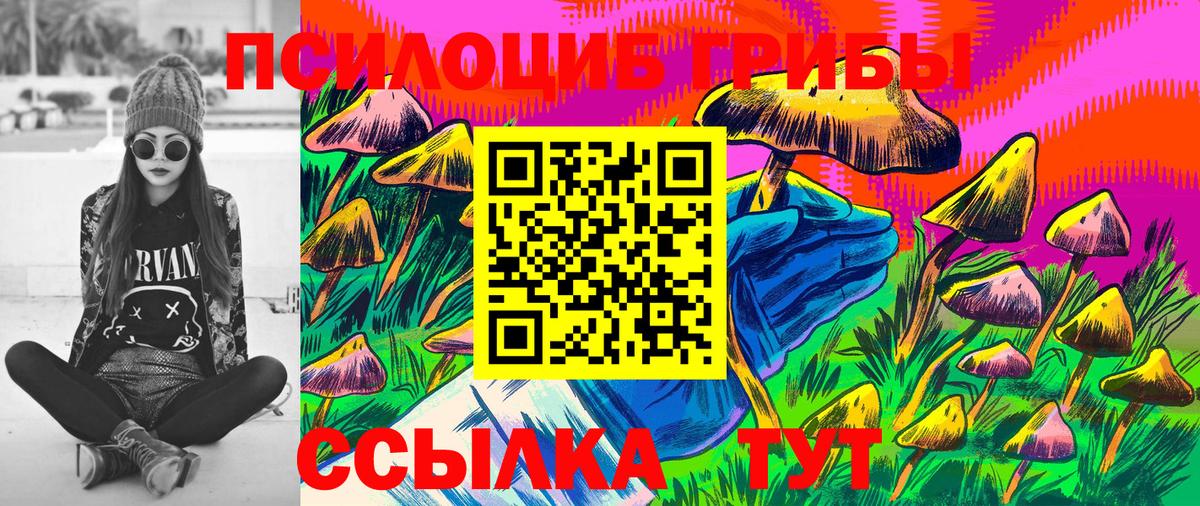 Галлюциногенные грибы Psilocybine cubensis  где найти   Нарткала  Вход с VPN 